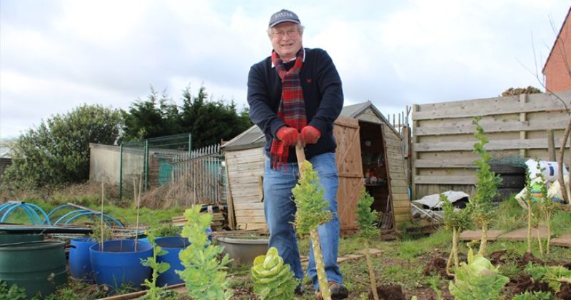 Cllr David Harvey enjoying his allotment