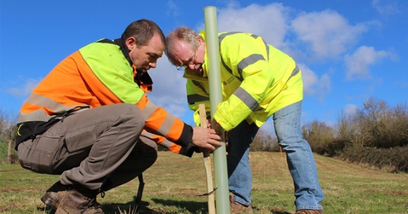 Cllr David Harvey planting trees - again