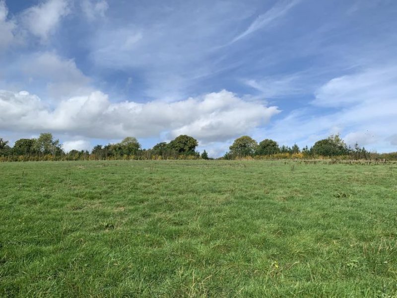 Photograph of Higher Fields which had been threatened with development